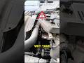 Why your engine knocks:it might not just be age #usa #carengine #shorts