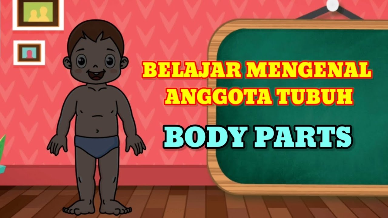 Belajar Mengenal  Anggota  Tubuh Dalam  Bahasa  Inggris  