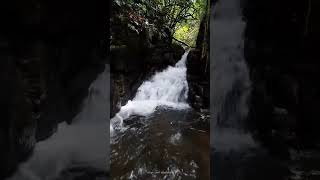 Dothalu Ella / දෝතළු ඇල්ල travel village trending beautiful waterfall දියඇලි Kalutara