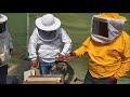 Visita al apicultor Ivan Pecho_Sur de Perú