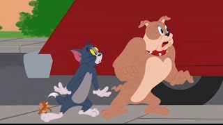 AMV - Tom And Jerry - Undefeatable!