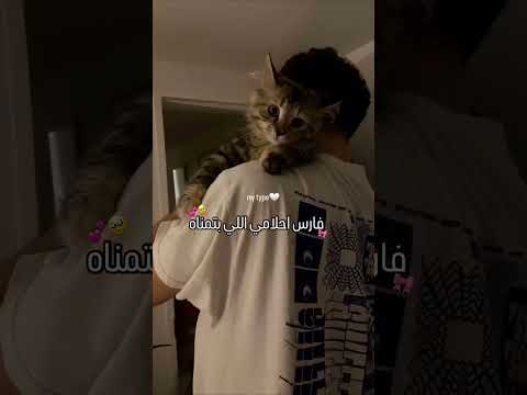 فارس احلامي Shortvideo اكسبلور تصميمي Shorts