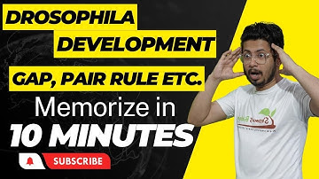 Drosophila development csir net | Genetics of drosophila development