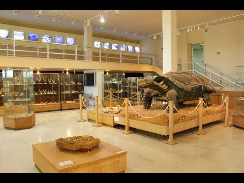 Βίντεο: Παλαιοντολογικό Μουσείο στο Teply Stan