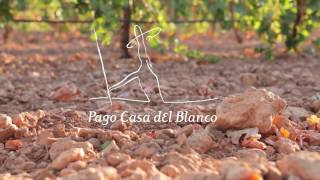 "Vinos Pago del Blanco" ja disponibles Tastavins Cardedeu