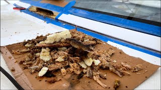 DIY BOAT Restoration - MORE Rotten WOOD on our BOAT - EP.63