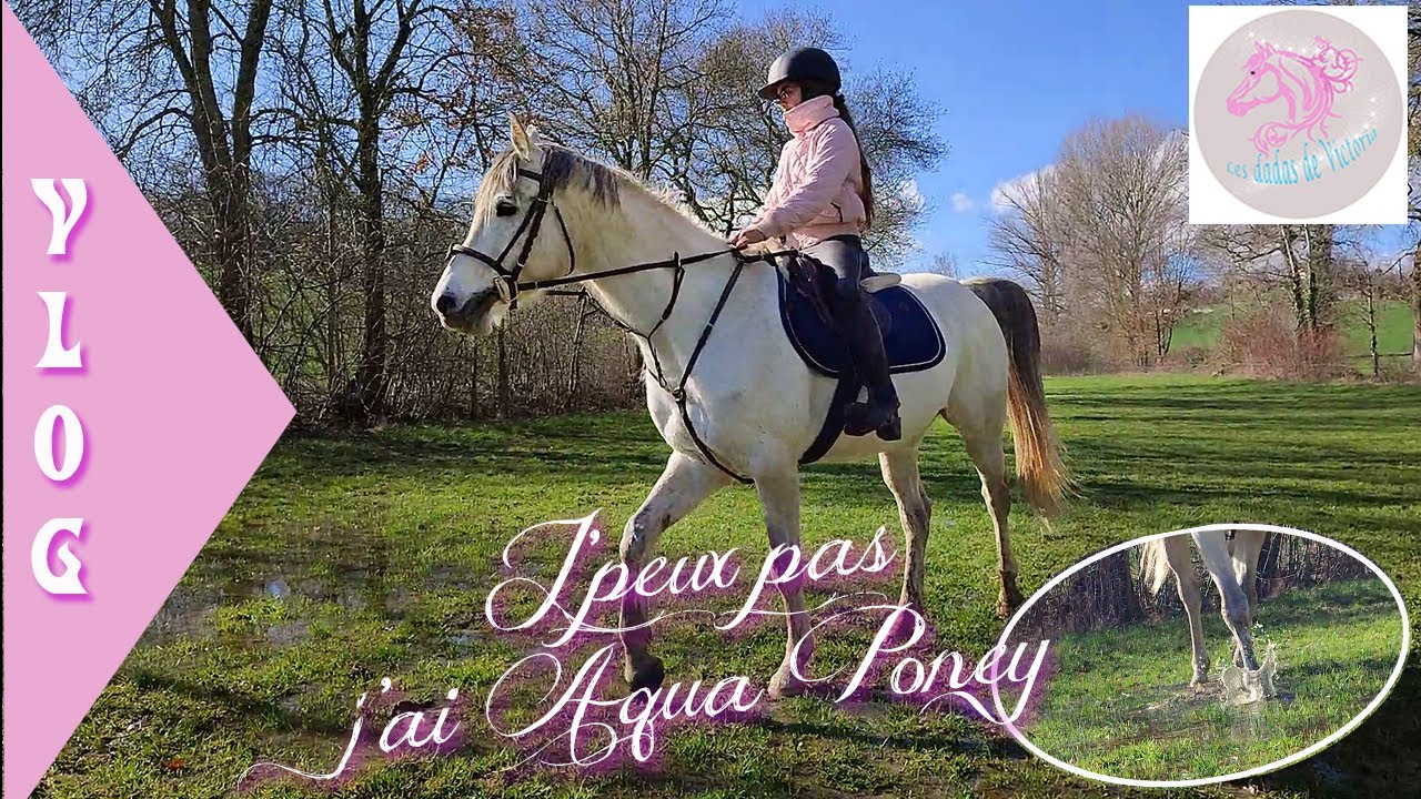 {VLOG} Aqua Poney 🐴🎠 - YouTube