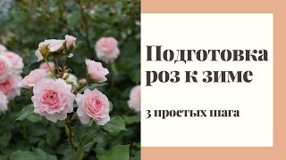 видео: Подготовка роз к зиме. 3 простых шага!!! картинка: Подготовка роз к зиме. 3 простых шага!!!