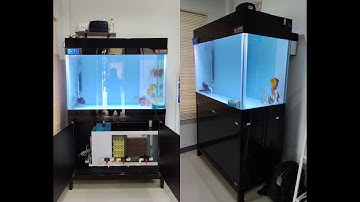 Boat เทพารักษ์ - O4FS ตู้ปลาปอมปาดัวร์ 48 24 30 กรองล่าง 36 Set 2