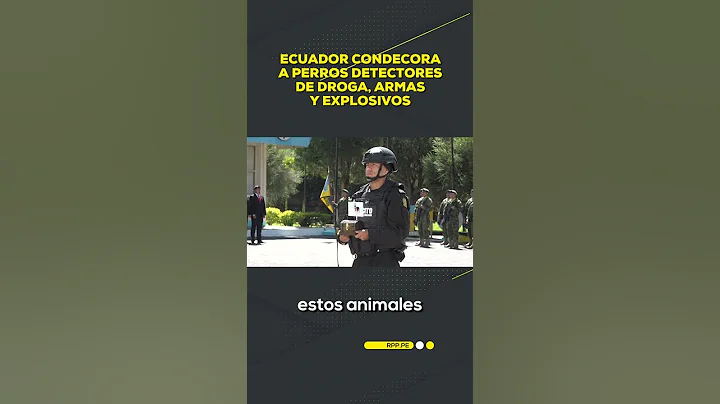 Ecuador condecora a perros detectores de droga, armas y explosivos