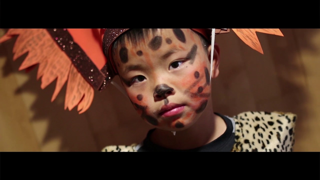 El Rey León   Video Resumen