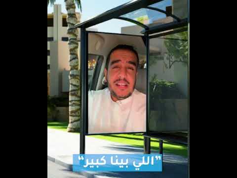 اللي بينا كبير أنت قلب خافق بين ضلوعي 