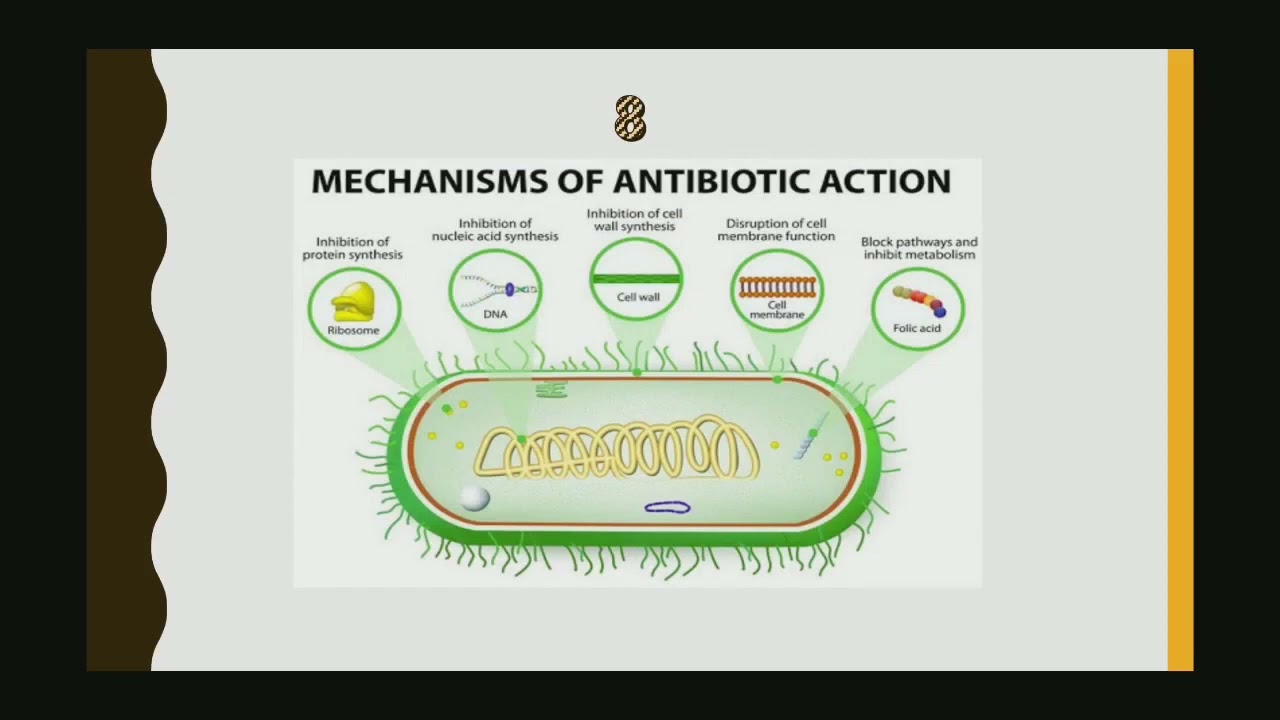 Antibiotics & Analgesics in Pediatric dentistry