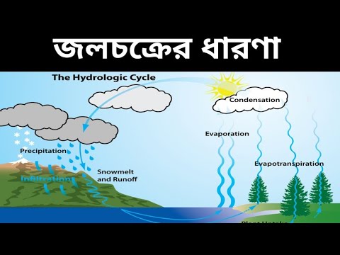 #Hydrological cycle definition, elements,processes,stages with diagram (জলচক্র চিত্রসহ আলোচনা)