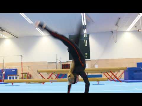 Xsens Motion Capture Challenge - (Artistic) Gymnastics