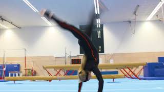Xsens Motion Capture Challenge - (Artistic) Gymnastics Xsens Motion Capture Challenge - (Artistic) Gymnastics