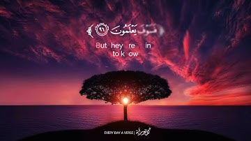 تلاوة مؤثرة جداً - بصوت القارئ إسلام صبحي أرح قلبك !! حالات واتس اب قرآن ✨💙