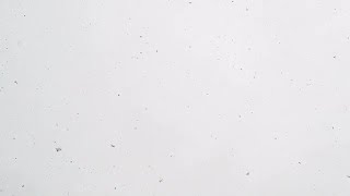Snowfall Stock Video