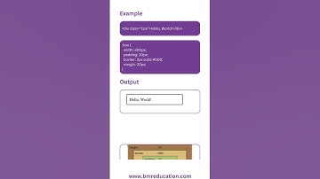 Did You Know? CSS Box Model in 60 Seconds: Master Your Layout!