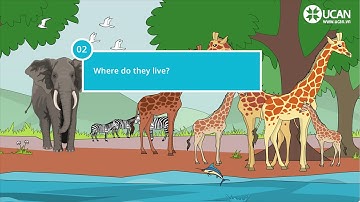 Learn English Via Listening   Beginner  Lesson 42  Wild Animals   YouTube 720p