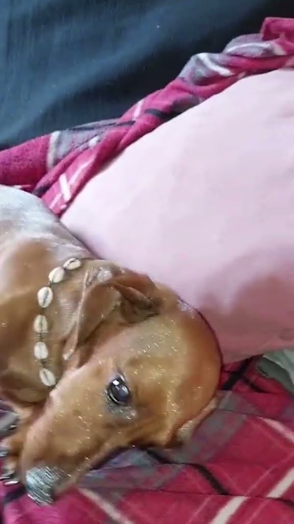 I Left the Glitter Unattended for 2 Seconds || ViralHog