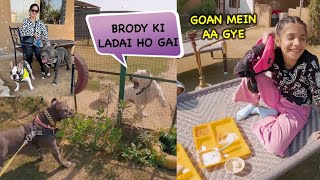 Brody ki Birthday 🎂 Pe Ladai Ho Gai 😱 | Harpreet SDC