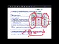 PRINCIPLE OF INHERITANCE: LINE