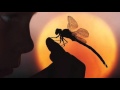 Miniature de la vidéo de la chanson Prelude In B Major, Op. 28 No. 11 "Dragon Fly"