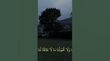 تدبروا الايات ✨🤍#قران   #quran #قران_كريم #تلاوة_خاشعة #اكتب_شي_توجر_عليه #قرآن #المصحف #راحة_نفسية