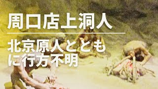 人間の生の遺産 絶体絶命 / Lamp【期間生産限定盤】 | Cö shu Nie | ソニー