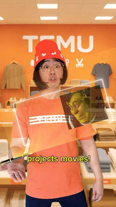 When you Shop on TEMU #parody
