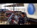 Tulsan tv ad for mobile milking system