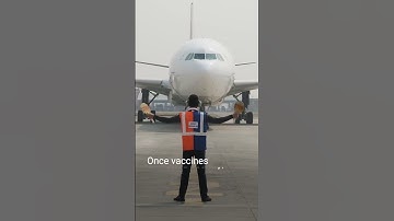 The chain keeping vaccines cold and saving children