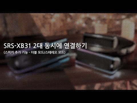 [강의] SRS-XB31 2대 동시에 연결하기