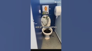 random capcut memes I found pt 3 #funny #memes #sigmamale #preepy #loraxmeme #capcut #notmine