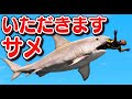 【GTA5】サメ vs 人間!人間を食べまくる恐ろしいサメが海に出現!ヘリも撃墜させる最強のサメ!【ほぅ】