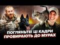 Такого ви ЩЕ точно НЕ БАЧИЛИ! Ось як ВІЙСЬКОВІ на нулі РЯТУЮТЬ тварин із самого ПЕКЛА. Відео ДО СЛІЗ
