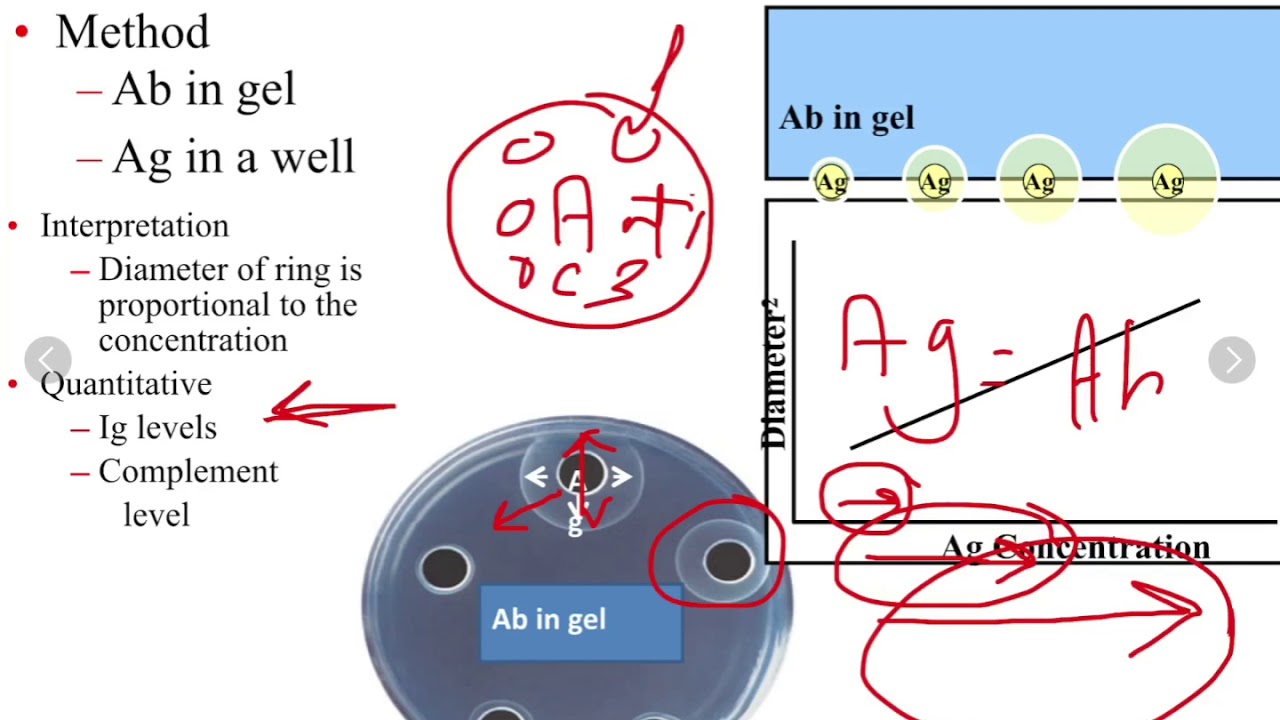 Antigen-antibody reactions laboratory part1