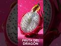 PITAYA: ¡5 Secretos Que JAMÁS Imaginaste! 🐉✨