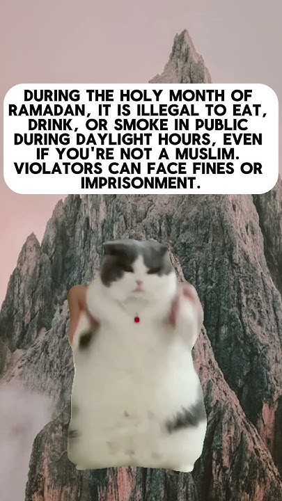 Weird Old Laws Of Dubai That Still Exists YouTube weird-old-laws-of-dubai-that-still-exists-youtube
