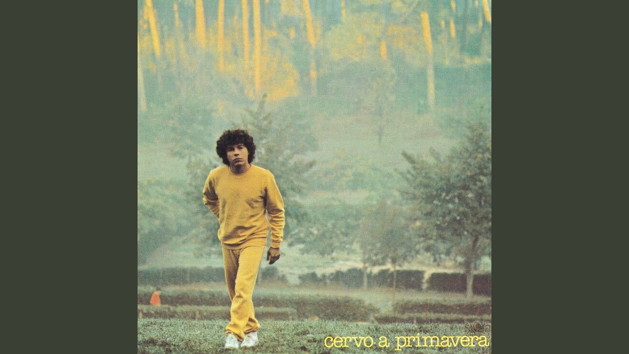 Cervo a primavera YouTube Cervo a primavera YouTube