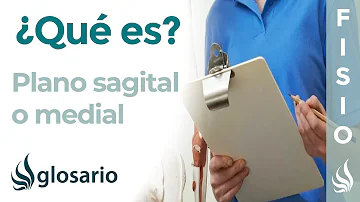 ¿Cómo divide al cuerpo el plano sagital?