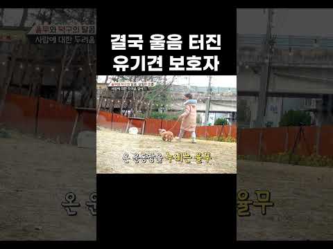 주인도 피하던 유기견 <strong>삽살개</strong> 풀어주자 #shorts
