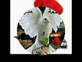 Asfi 3