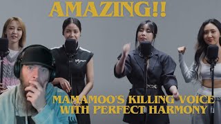 MAMAMOO's KILLING VOICE with perfect HARMONY MUSIC VIDEO REACTION!! HOLY CRAP! AMAZING!