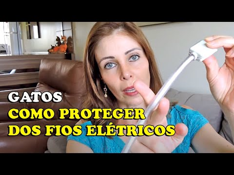 Vídeo: Como Impedir Um Gato De Roer Fios