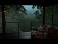 Quiet Rain on a Rustic Balcony | Forest Sounds for Calm &amp; Meditation
