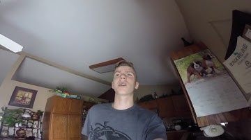 GoPro Hero Session Underwater Quality Review