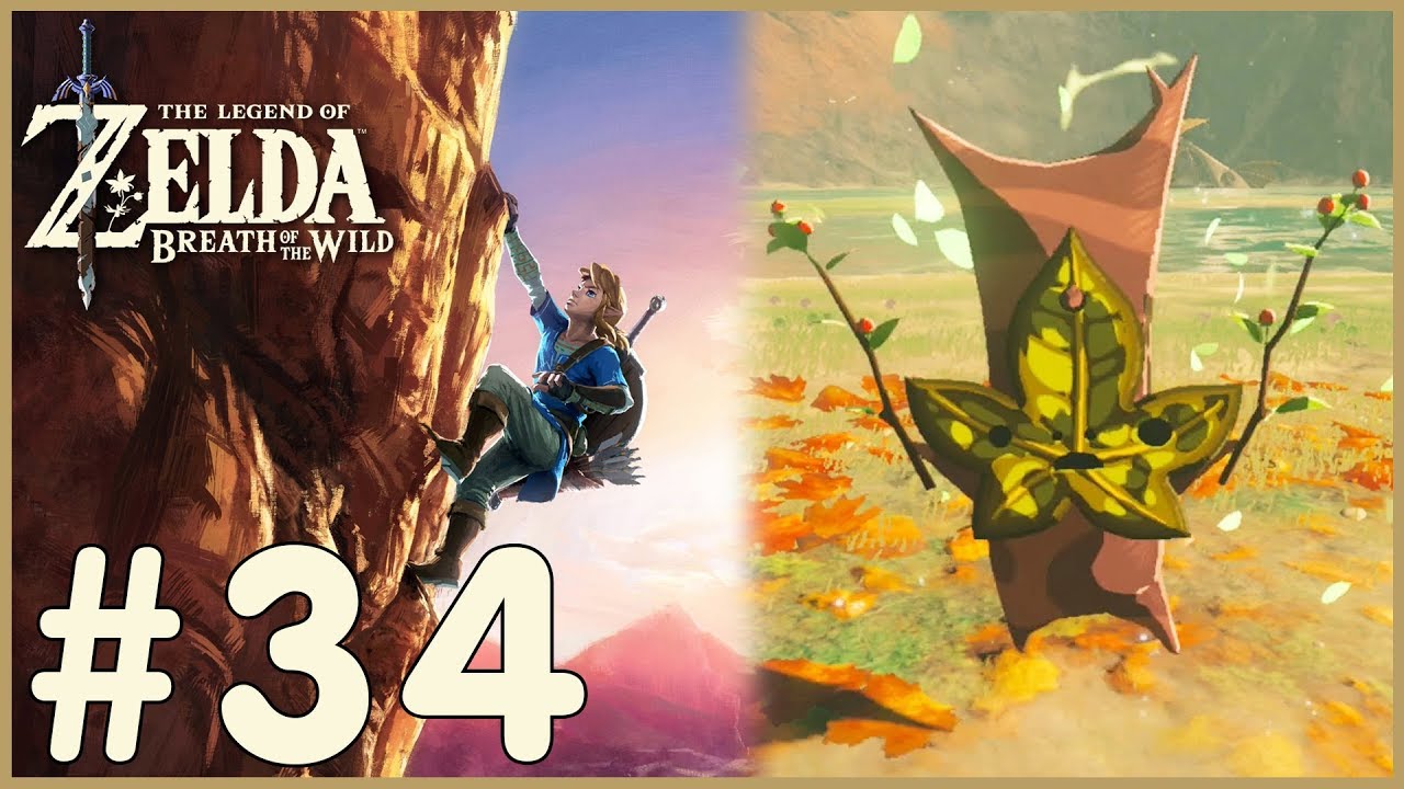 vortex hack Zelda: Breath Of The Wild - Into The Vortex (34)