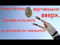 Камень брошен вертикально вверх. Пока камень не упал, высота, на которой он находится, описывается